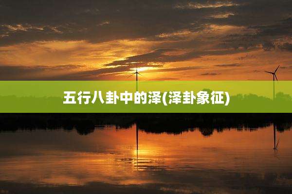 五行八卦中的泽(泽卦象征)