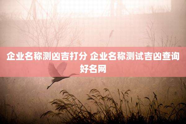 企业名称测凶吉打分 企业名称测试吉凶查询好名网