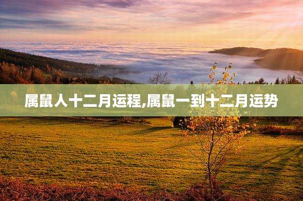 属鼠人十二月运程,属鼠一到十二月运势