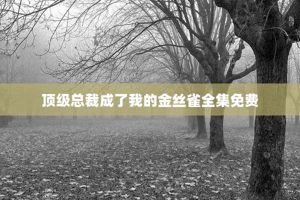 顶级总裁成了我的金丝雀全集免费
