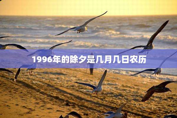 1996年的除夕是几月几日农历