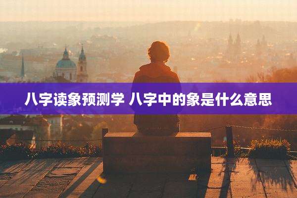 八字读象预测学 八字中的象是什么意思