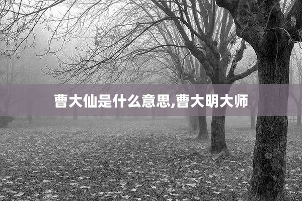 曹大仙是什么意思,曹大明大师