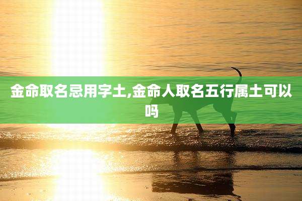 金命取名忌用字土,金命人取名五行属土可以吗