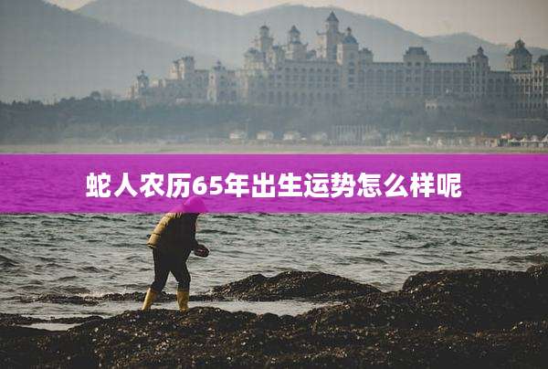 蛇人农历65年出生运势怎么样呢