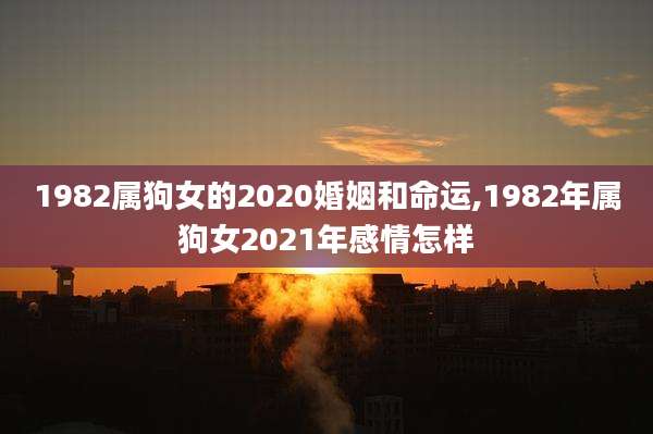 1982属狗女的2020婚姻和命运,1982年属狗女2021年感情怎样