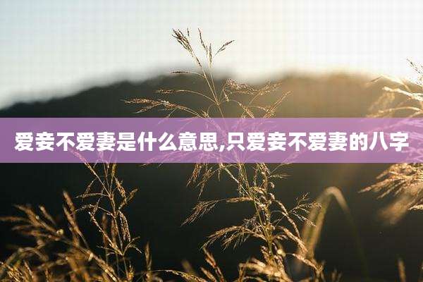 爱妾不爱妻是什么意思,只爱妾不爱妻的八字
