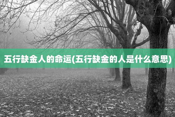 五行缺金人的命运(五行缺金的人是什么意思)