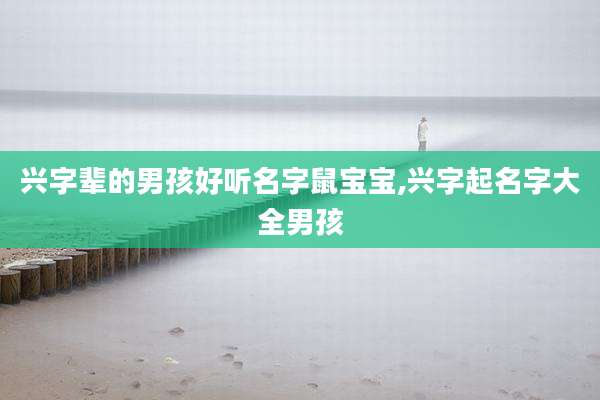 兴字辈的男孩好听名字鼠宝宝,兴字起名字大全男孩