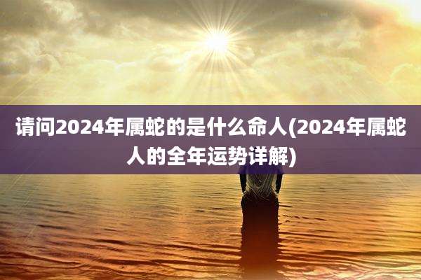 请问2024年属蛇的是什么命人(2024年属蛇人的全年运势详解)