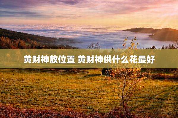 黄财神放位置 黄财神供什么花最好