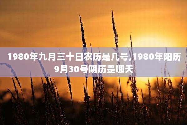 1980年九月三十日农历是几号,1980年阳历9月30号阴历是哪天