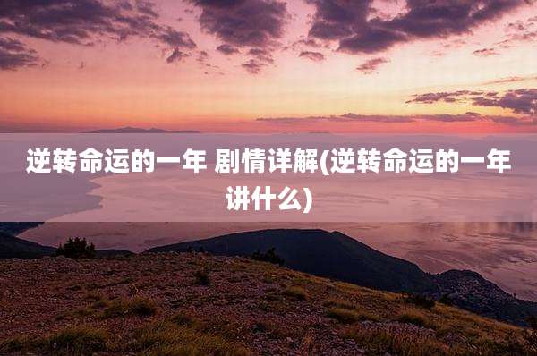 逆转命运的一年 剧情详解(逆转命运的一年讲什么)