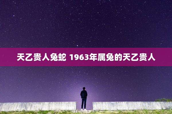 天乙贵人兔蛇 1963年属兔的天乙贵人
