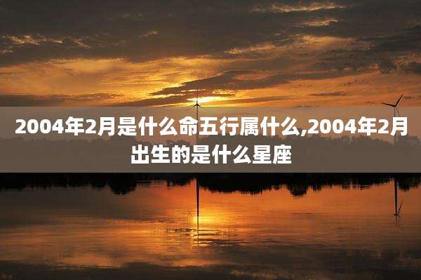 2004年2月是什么命五行属什么,2004年2月出生的是什么星座
