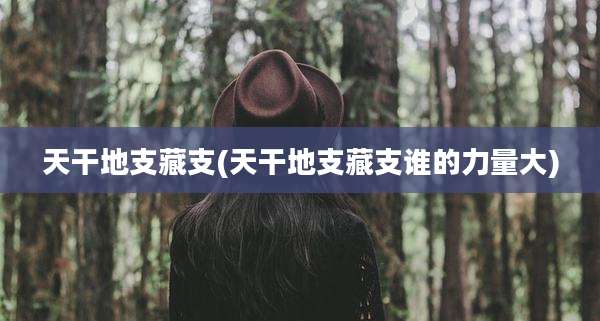 天干地支藏支(天干地支藏支谁的力量大)