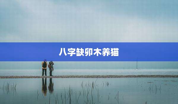 八字缺卯木养猫