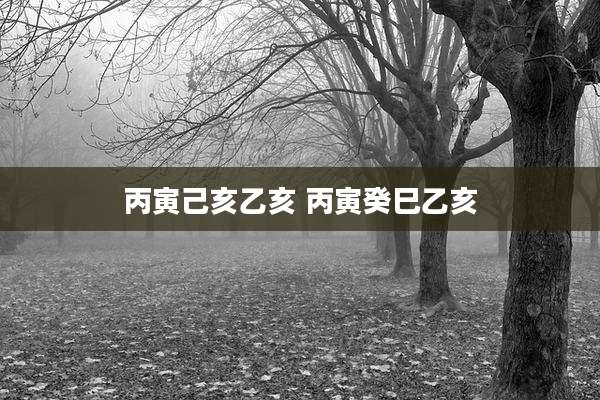 丙寅己亥乙亥 丙寅癸巳乙亥