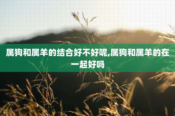 属狗和属羊的结合好不好呢,属狗和属羊的在一起好吗