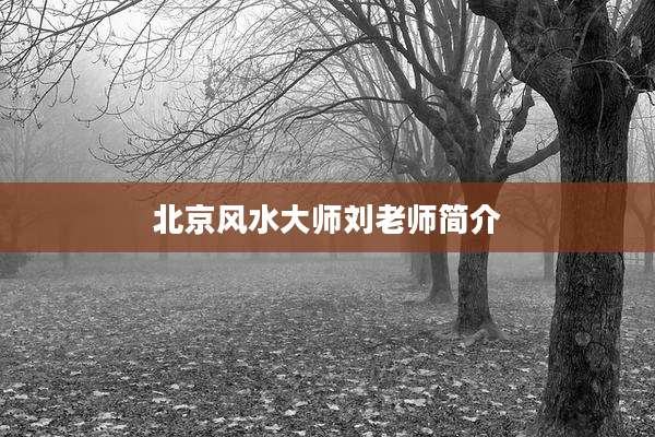 北京风水大师刘老师简介