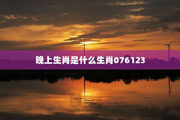 晚上生肖是什么生肖076123