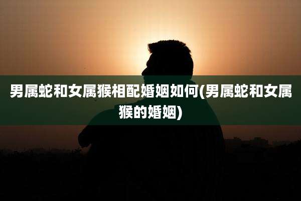 男属蛇和女属猴相配婚姻如何(男属蛇和女属猴的婚姻)