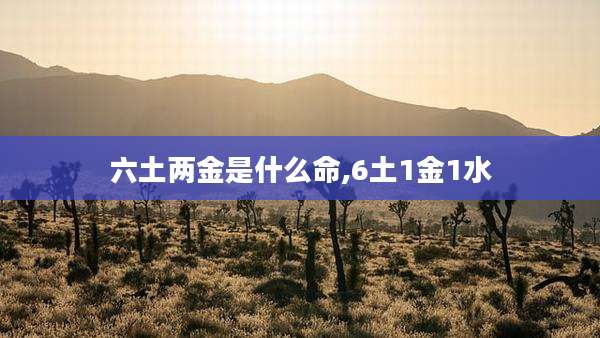 六土两金是什么命,6土1金1水