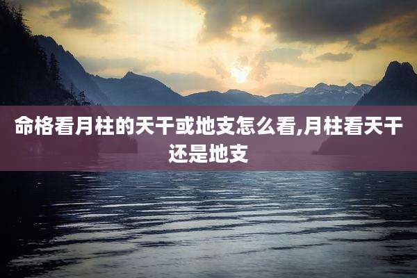 命格看月柱的天干或地支怎么看,月柱看天干还是地支