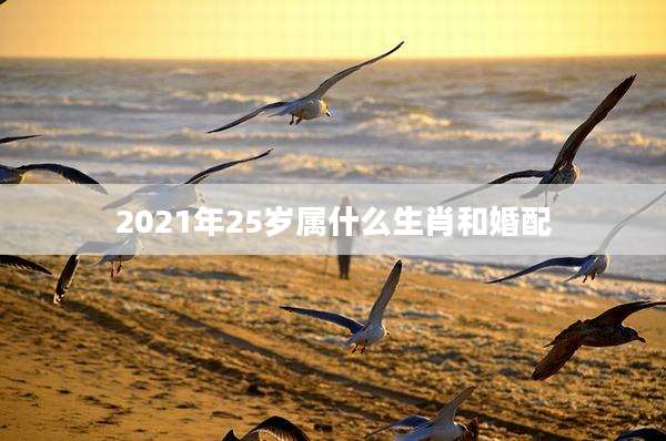 2021年25岁属什么生肖和婚配