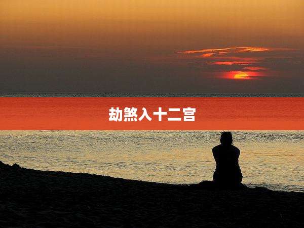 劫煞入十二宫