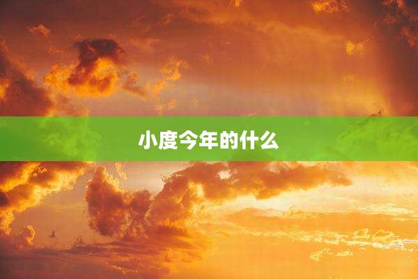 小度今年的什么