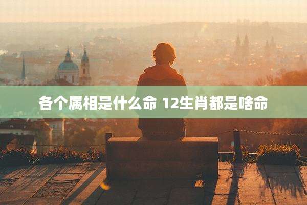 各个属相是什么命 12生肖都是啥命