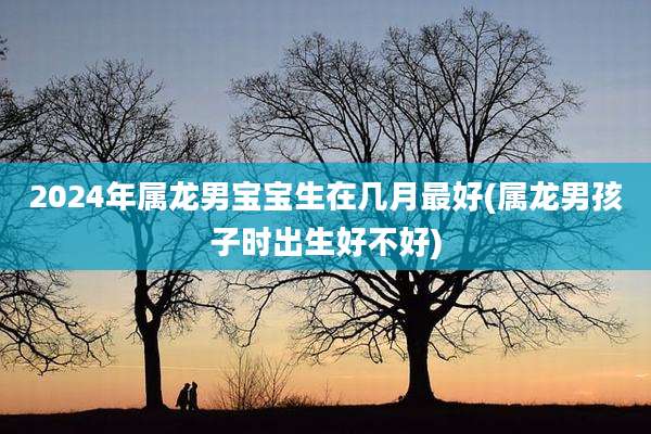 2024年属龙男宝宝生在几月最好(属龙男孩子时出生好不好)