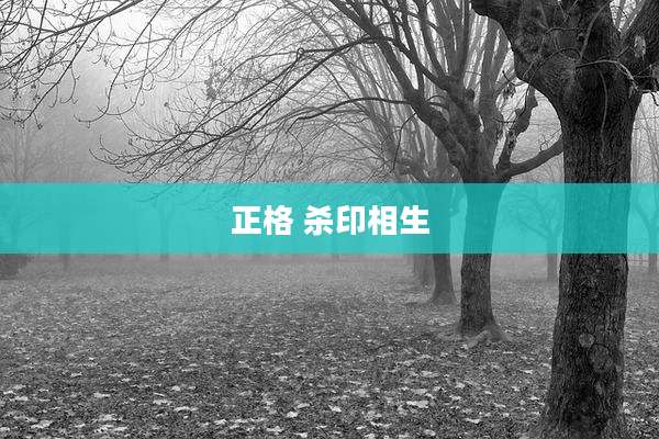 正格 杀印相生
