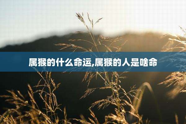 属猴的什么命运,属猴的人是啥命