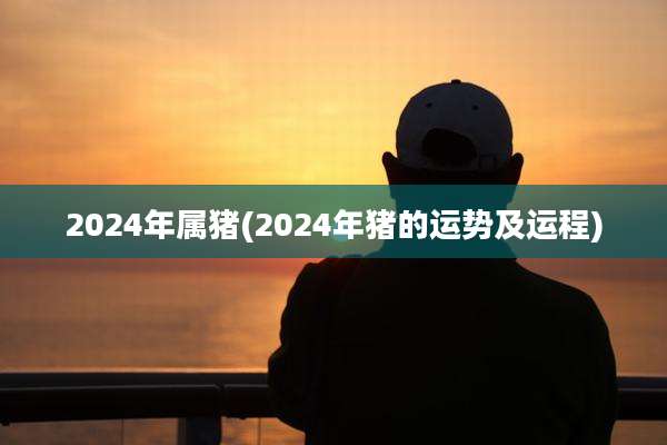 2024年属猪(2024年猪的运势及运程)