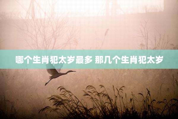 哪个生肖犯太岁最多 那几个生肖犯太岁