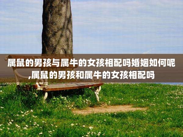 属鼠的男孩与属牛的女孩相配吗婚姻如何呢,属鼠的男孩和属牛的女孩相配吗