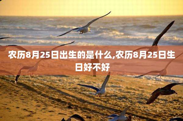 农历8月25日出生的是什么,农历8月25日生日好不好