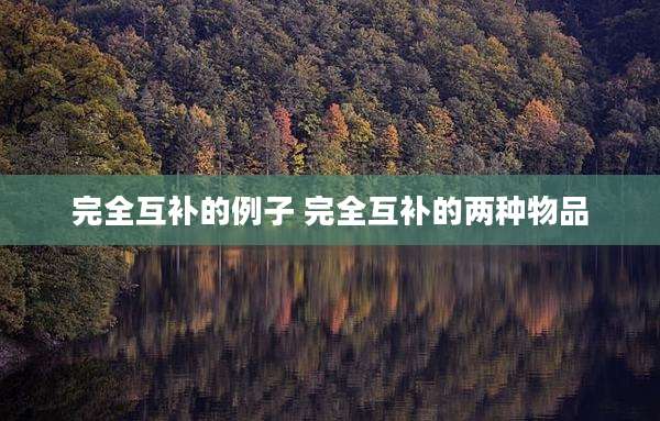 完全互补的例子 完全互补的两种物品