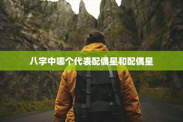 八字中哪个代表配偶星和配偶星