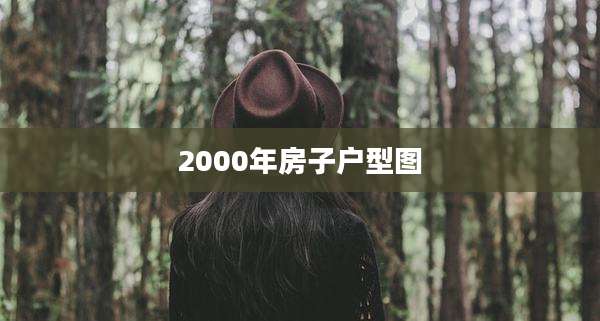 2000年房子户型图