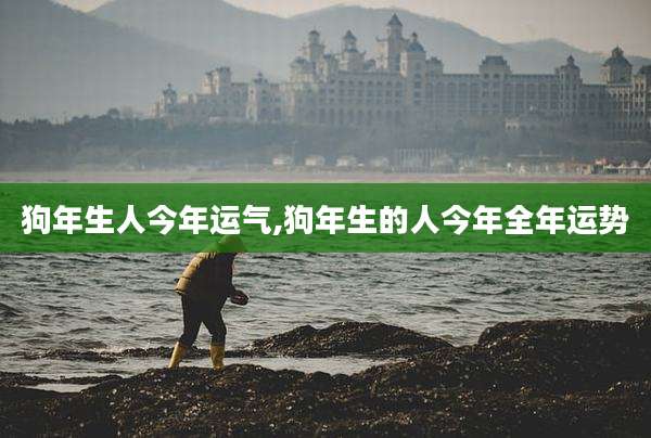 狗年生人今年运气,狗年生的人今年全年运势