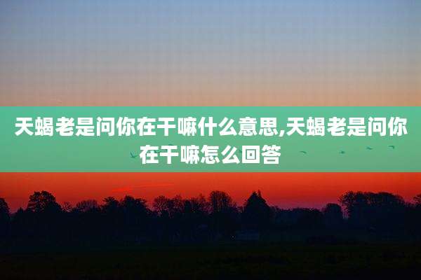 天蝎老是问你在干嘛什么意思,天蝎老是问你在干嘛怎么回答