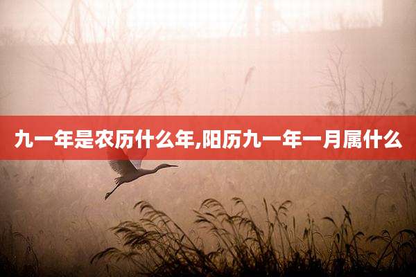 九一年是农历什么年,阳历九一年一月属什么