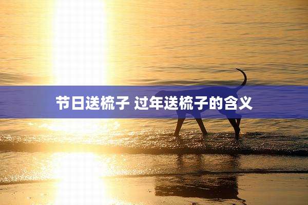 节日送梳子 过年送梳子的含义