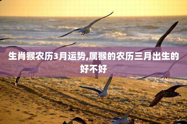 生肖猴农历3月运势,属猴的农历三月出生的好不好