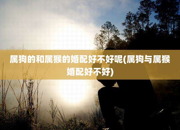 属狗的和属猴的婚配好不好呢(属狗与属猴婚配好不好)
