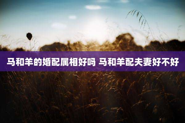 马和羊的婚配属相好吗 马和羊配夫妻好不好