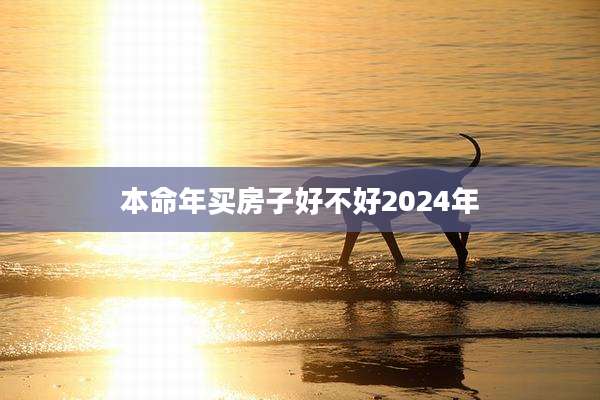 本命年买房子好不好2024年